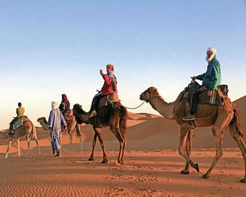 reise-service-ueberwintern-im-sueden-169gallery-2fa88285-1036313_optimized