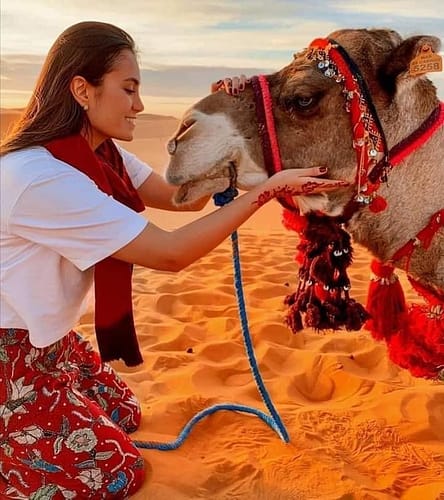 305766509_805364830473704_4074855593978686770_n