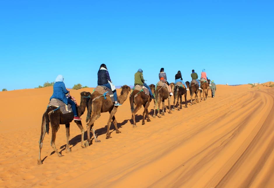 15 days desert tour from casablanca