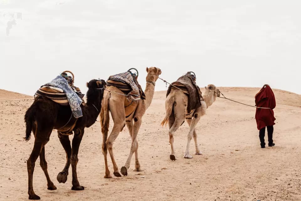 private tour from casablanca 7 days