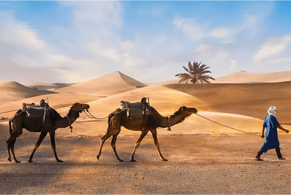 12 days tour from casablanca itinerary