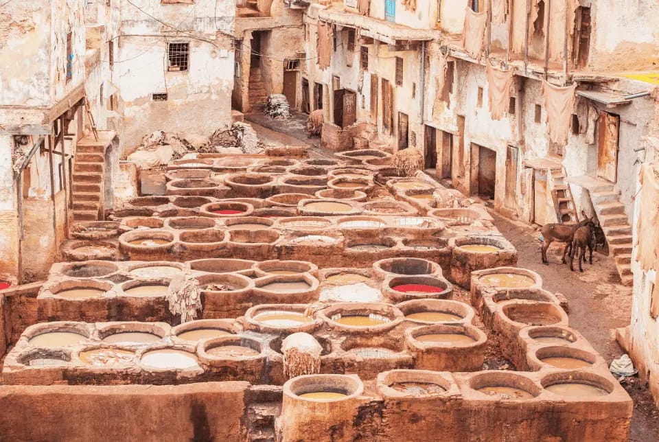 9 days tour from tangier to casablanca via fes