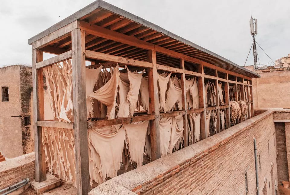 morocco desert tours from tangier