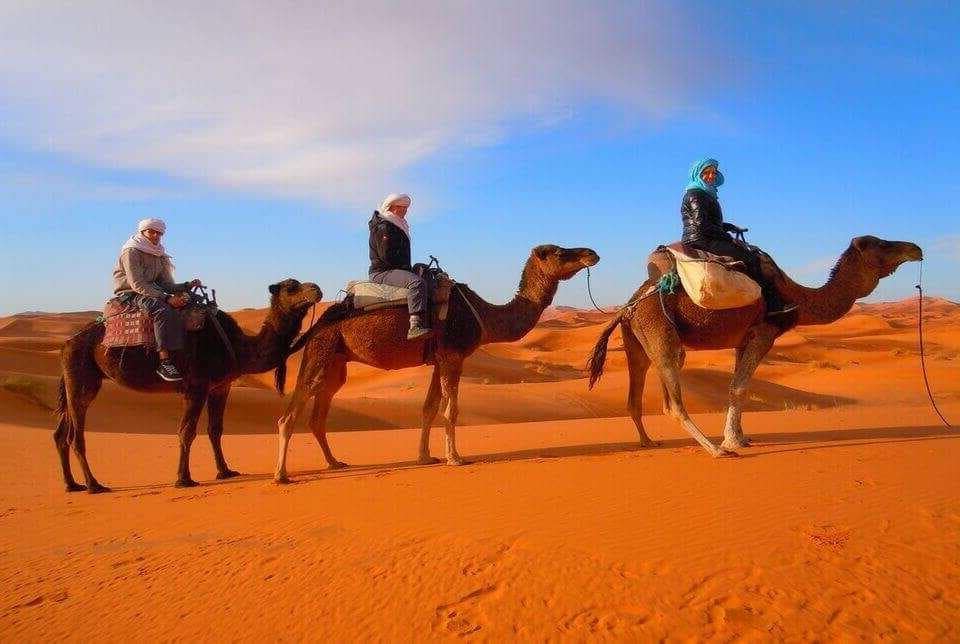 camel ride in erg chegaga desert